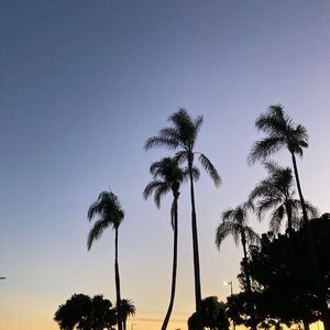 Meet your Posher, Kiwi